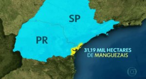 Pesquisadores ajudam a preservar riqueza natural de manguezais do litoral do Paraná